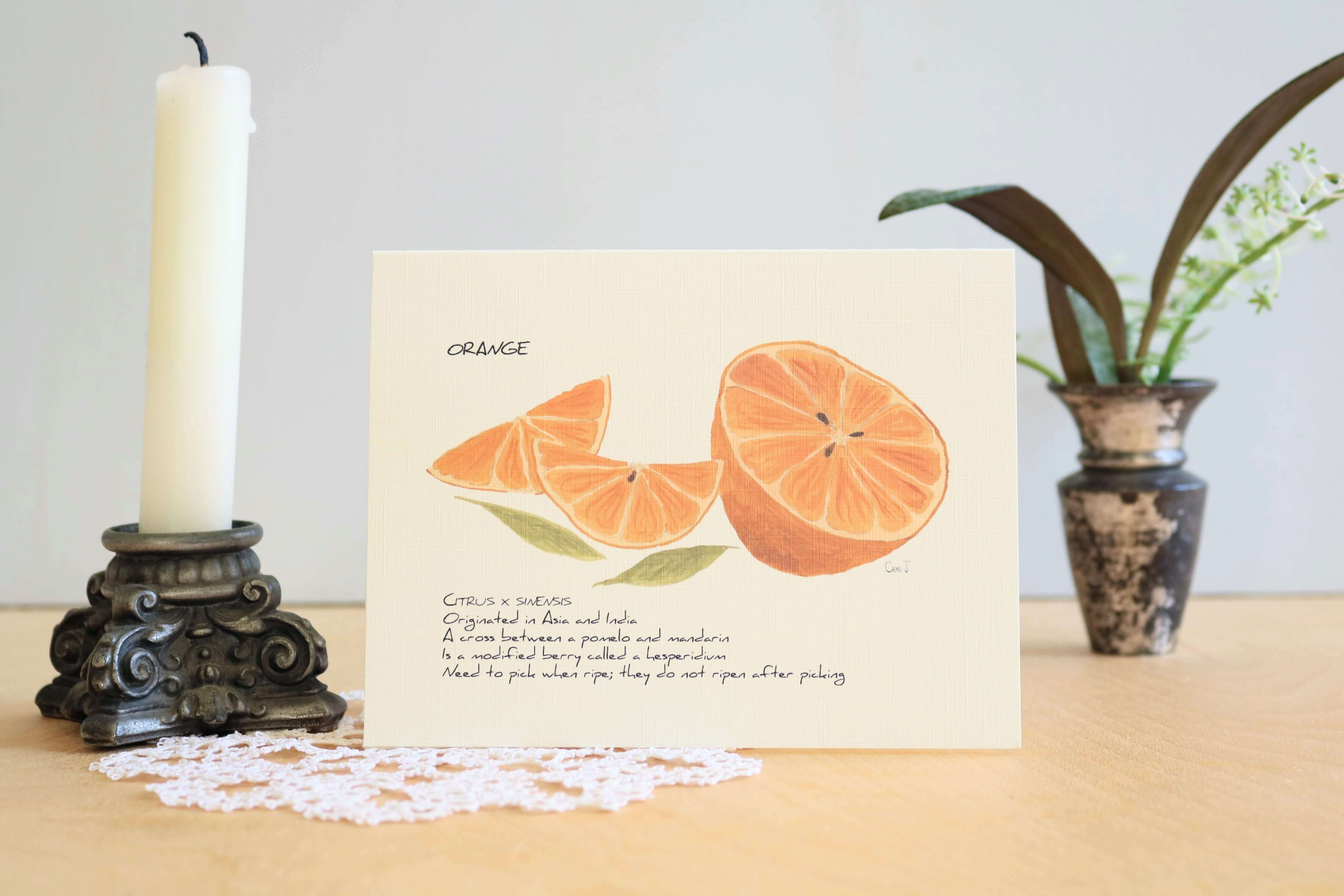 Orange Cards - Ripe and Roasted Orange Cards - Ripe and Roasted